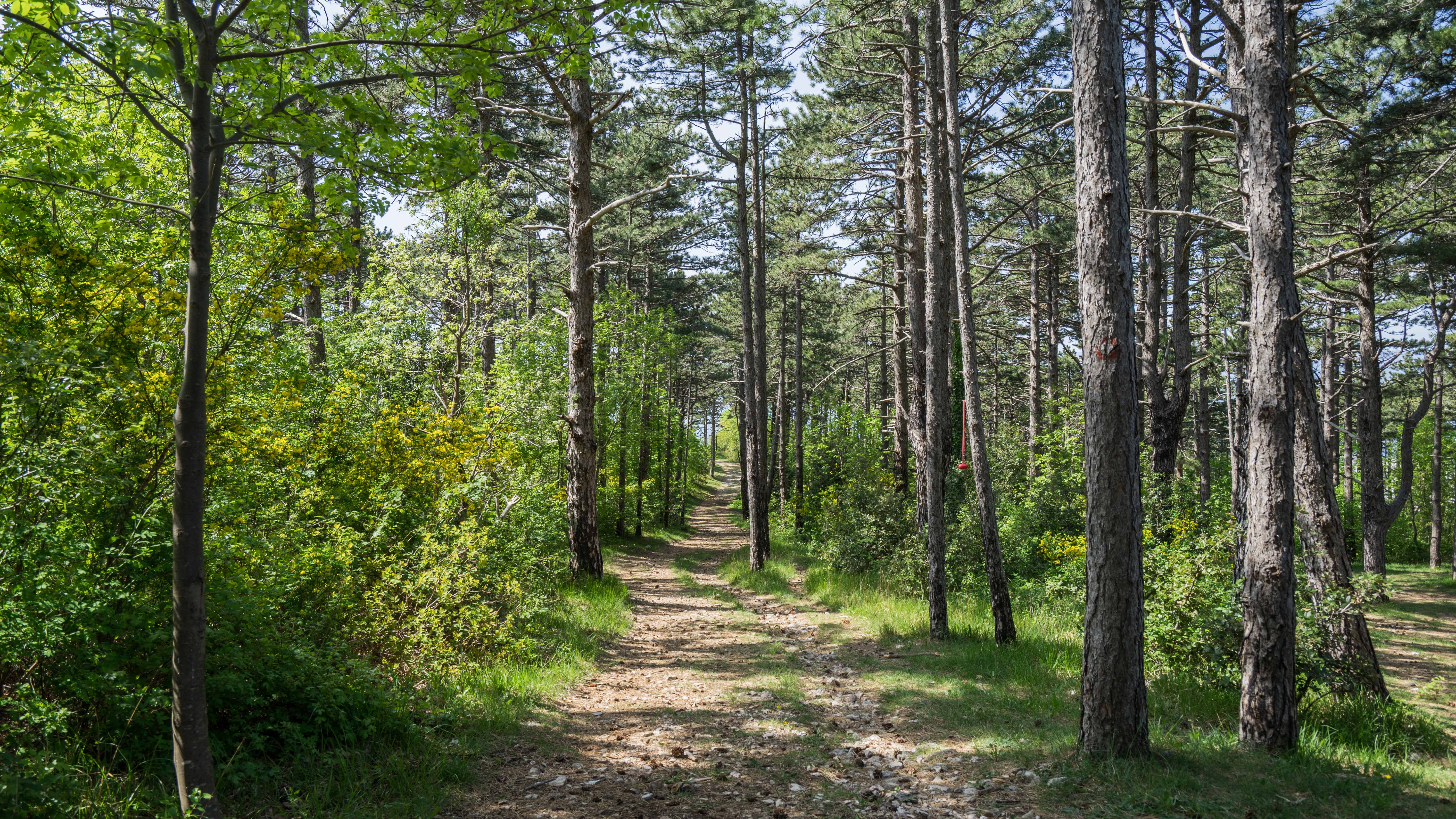 Rijeka Trails - Passeggiate e sentieri escursionistici di Fiume