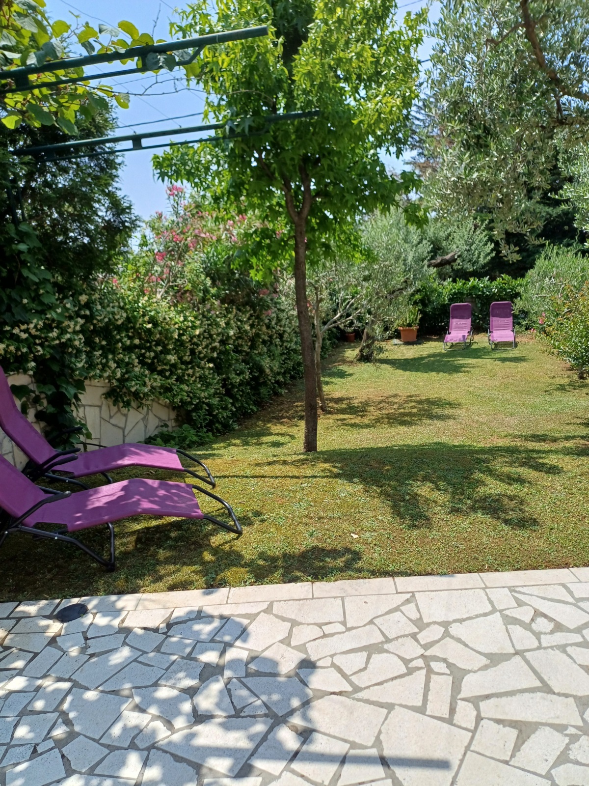PERČIN DUŠKO
